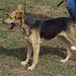 Argo