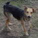 Argo