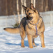 Лима